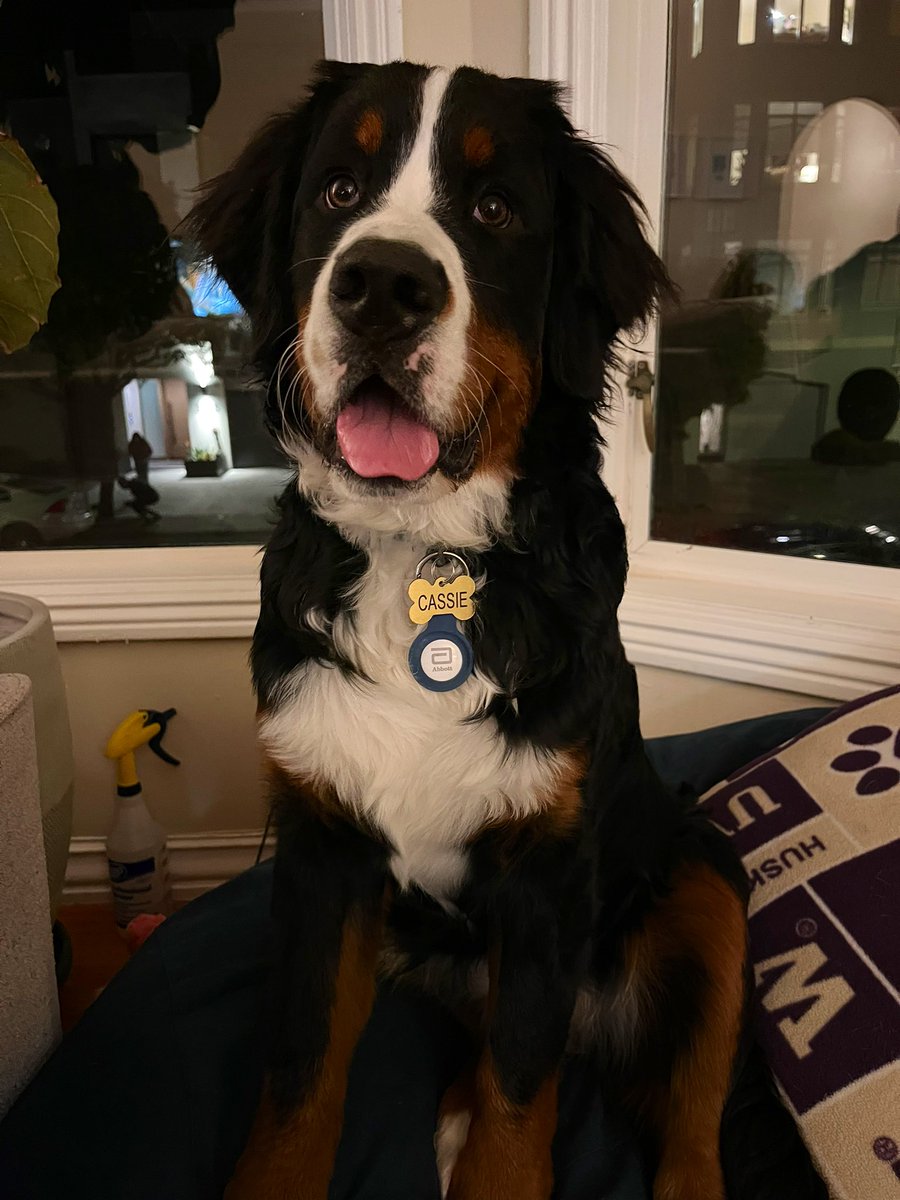 MackinHard's tweet photo. 65lbs of love https://t.co/7paY2NNJOc