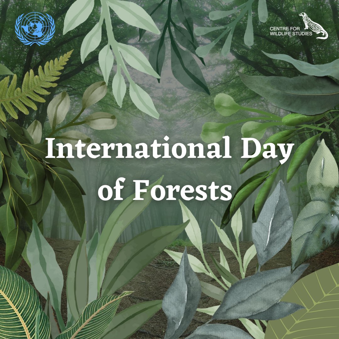 Forests shelter and nurture about 80% of terrestrial biodiversity. Around 1.6 billion people depend directly on forests for food, shelter, energy, medicines and income. Each year, the world is known to lose 10 million hectares of forest, which is about the size of Iceland!