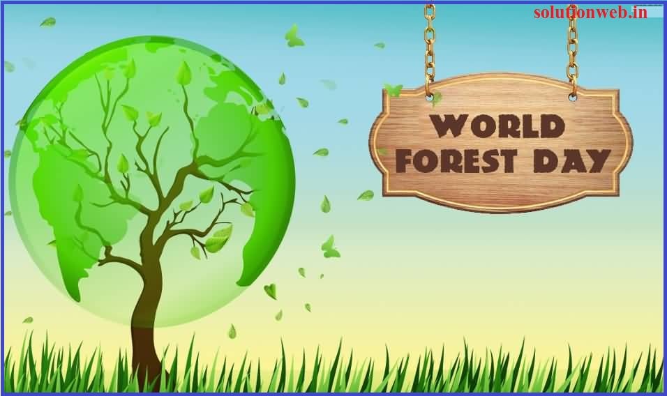 Forests are the home to around 80% of terrestrial biodiversity of the world. Let us join hands to save forests.
The death of the forest is the end of our life.
#internationalforestday23
#Forestsandhealth
#saveforests
#plantatree
#IFD23