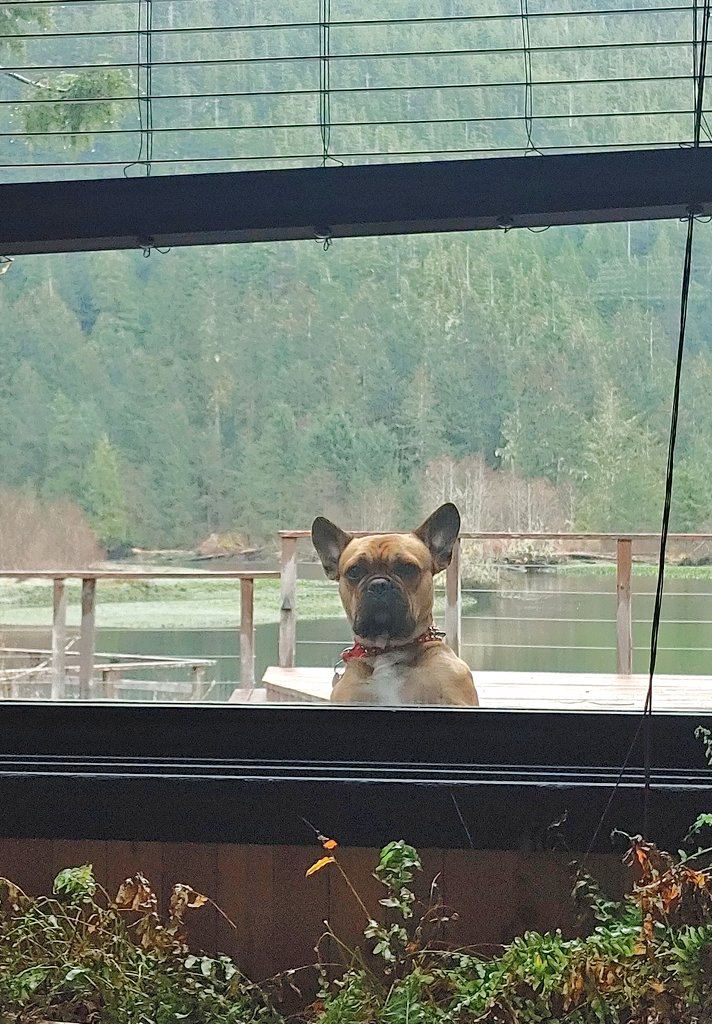 oscarindacity's tweet image. Lemme in 😥
#oscarondaroad #oscarindacity