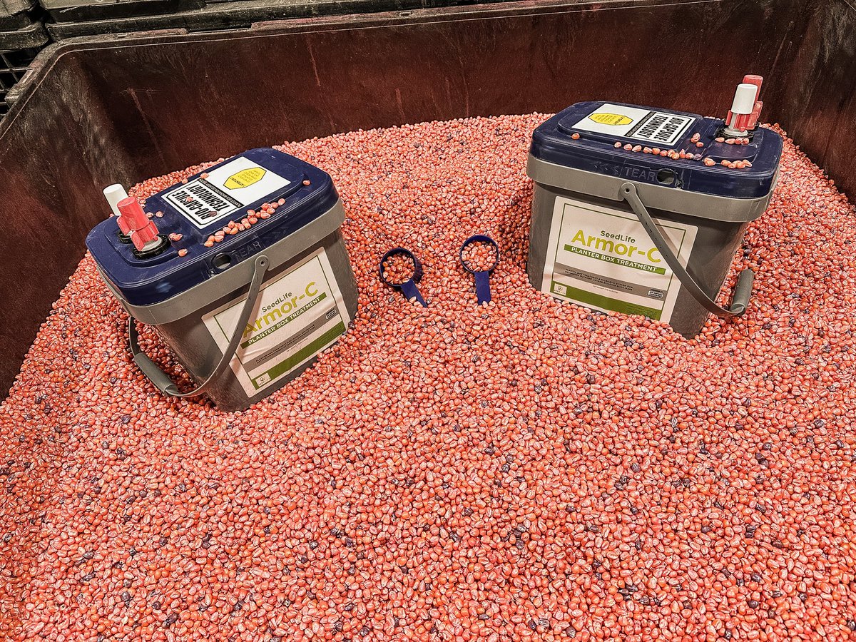 SEED LIFE ARMOR C💪🏼