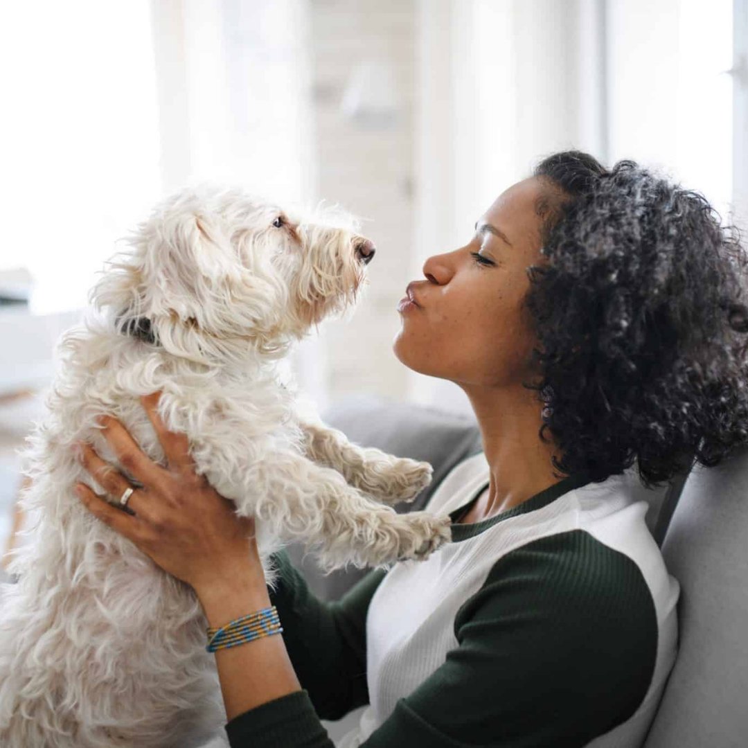 Chatter_Source's tweet image. Still trying to find the perfect gift for your furry BFF? These 20 ideas will make any pup parent&apos;s tail wag. 

From cozy goodies to chic accessories, there are plenty of pup-approved presents just waiting to be gifted!
bit.ly/3JAqOV7