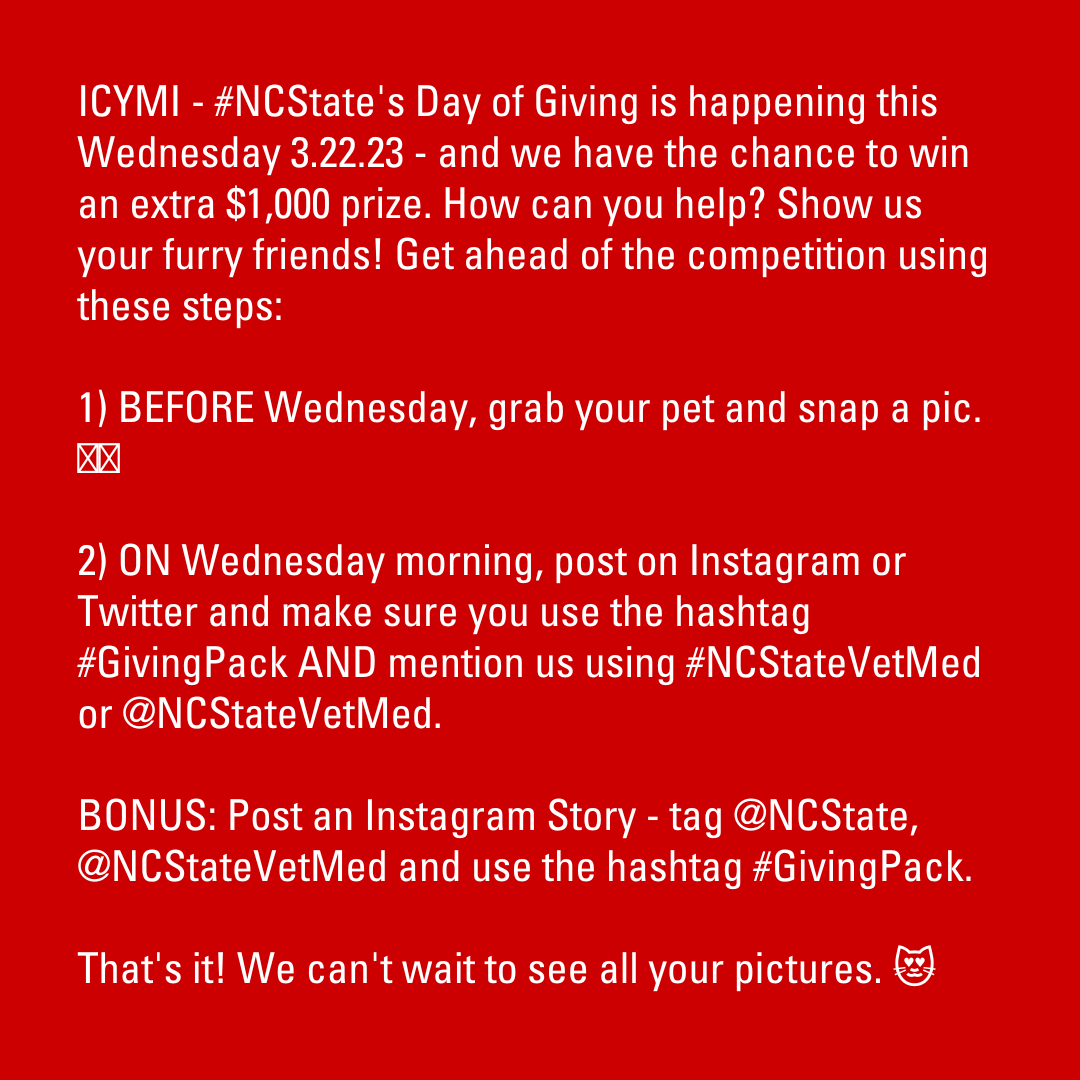 NC State Vet Medicine tweet media