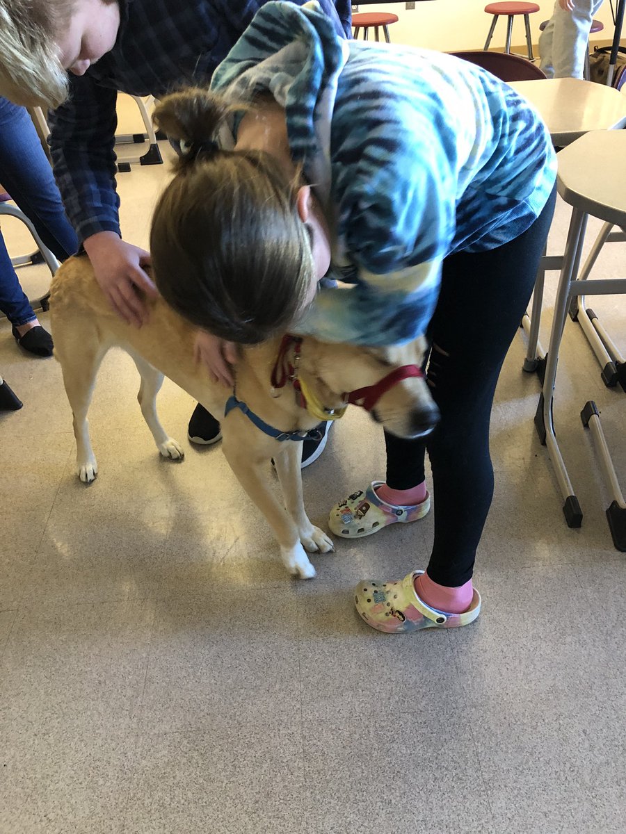Jack visited a lot of kids today at ACHS!!💕🐶🐶#lovemydogs #acdutchmenpride#annvillepa#mixedbreeds