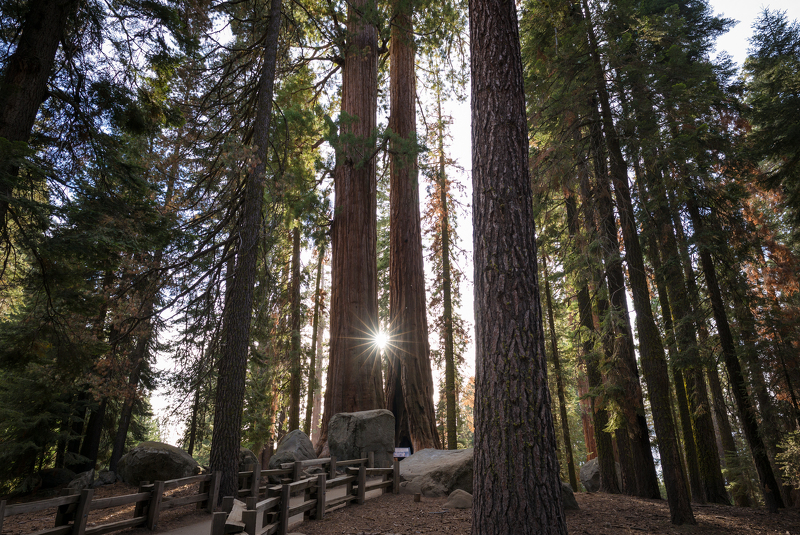 FiledIMAGE's tweet photo. Living in California I am very lucky to have access to some of the most beautiful beaches, amazing cities, museums and entertainment venues in the world. But, the one thing that I think blows all that away, are the National Parks.
Map

Everyone #21mm

https://t.co/lrfdM0SM09 https://t.co/A9qReaAXrX