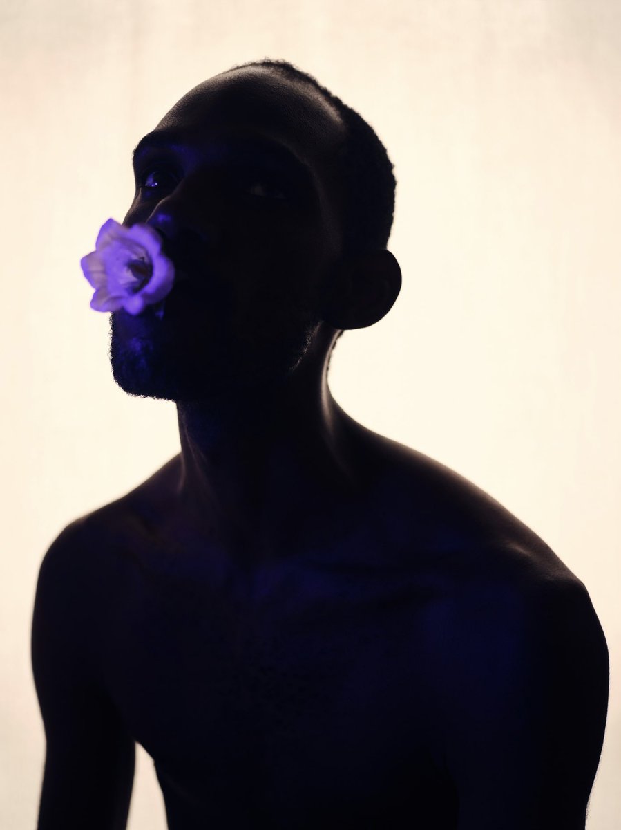 njaheut.eth tweet media