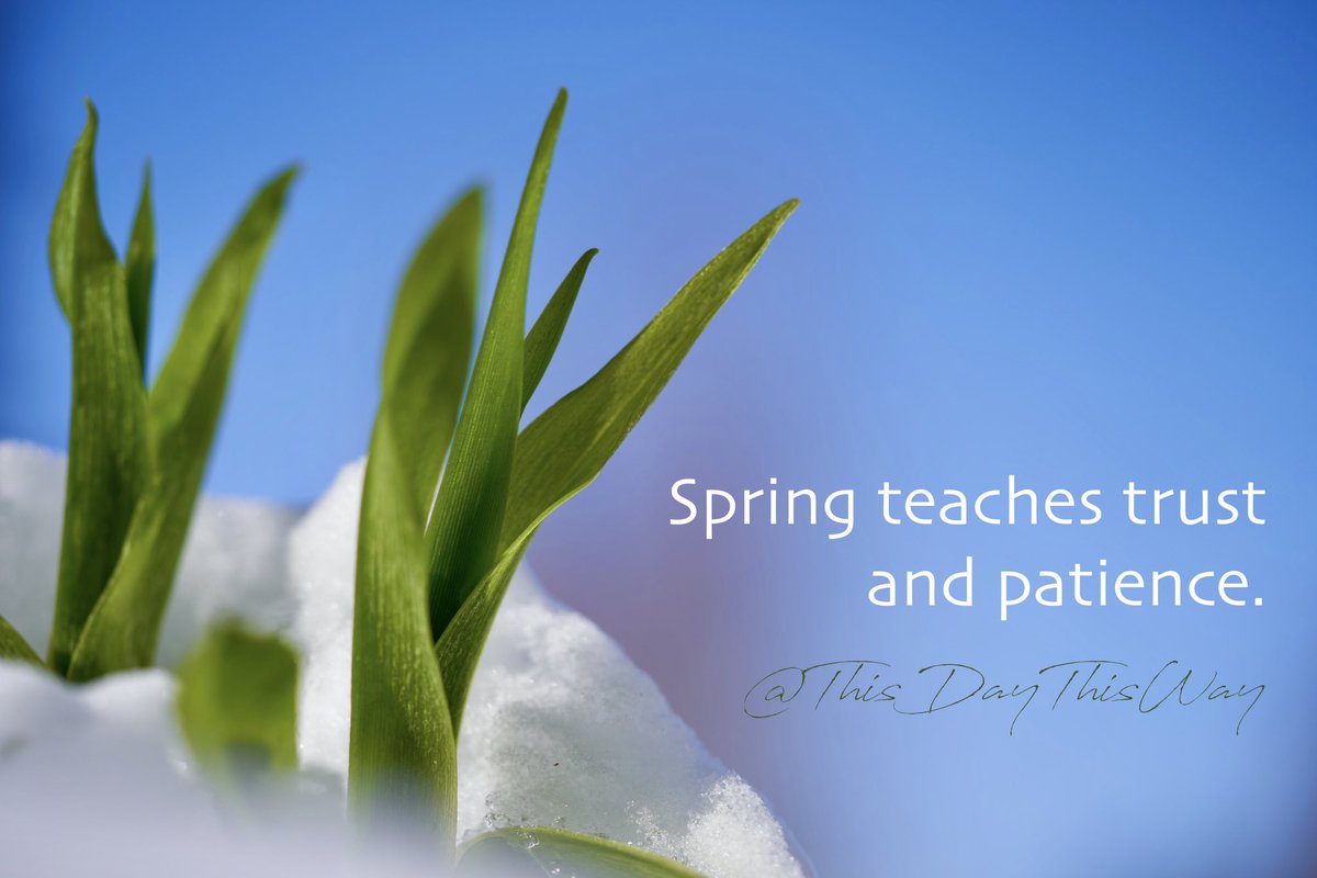 thisdaythisway's tweet photo. #equinox #springequinox #manifest #manifestation https://t.co/t7rlFZeTg5