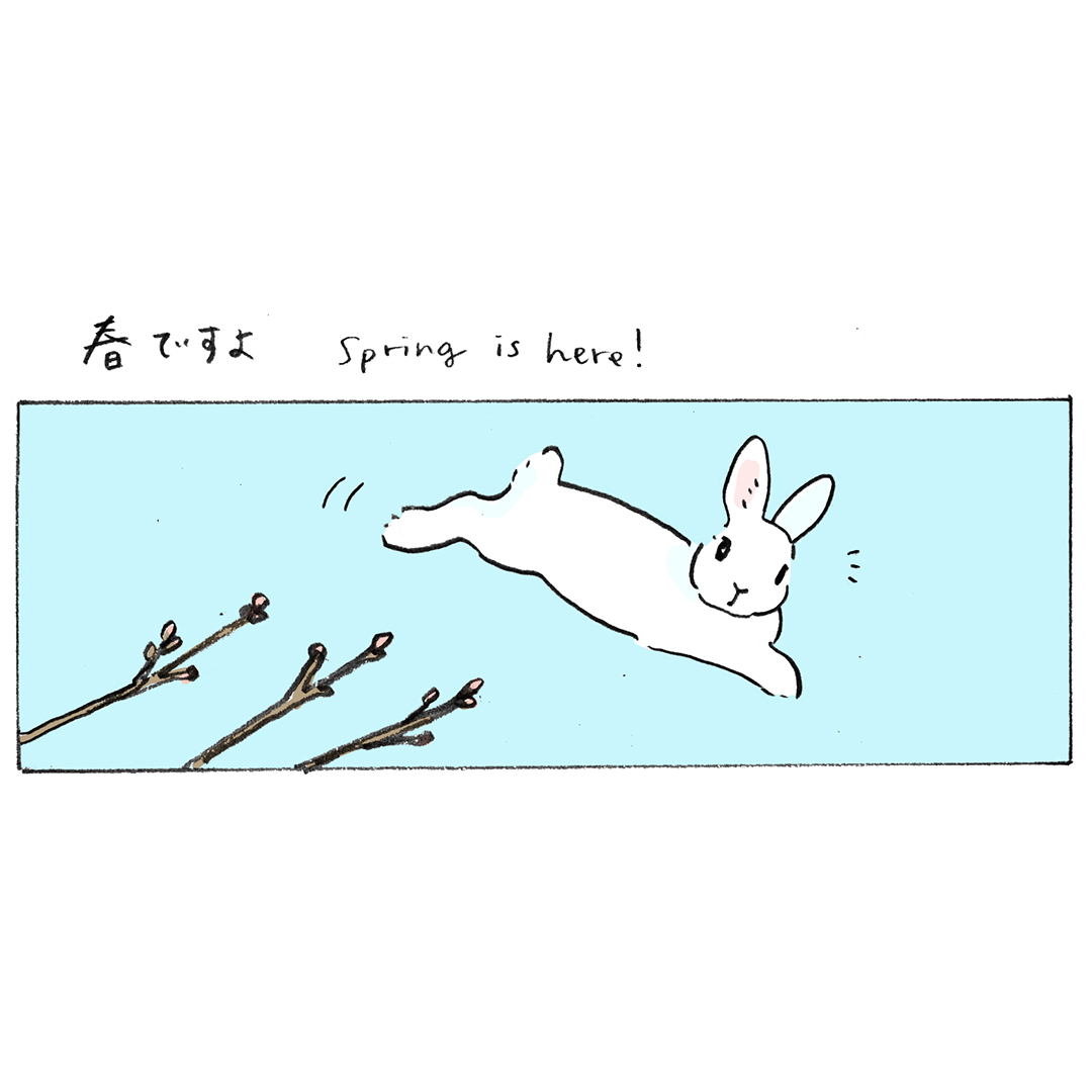春ですよ🐇☁ #春分の日 