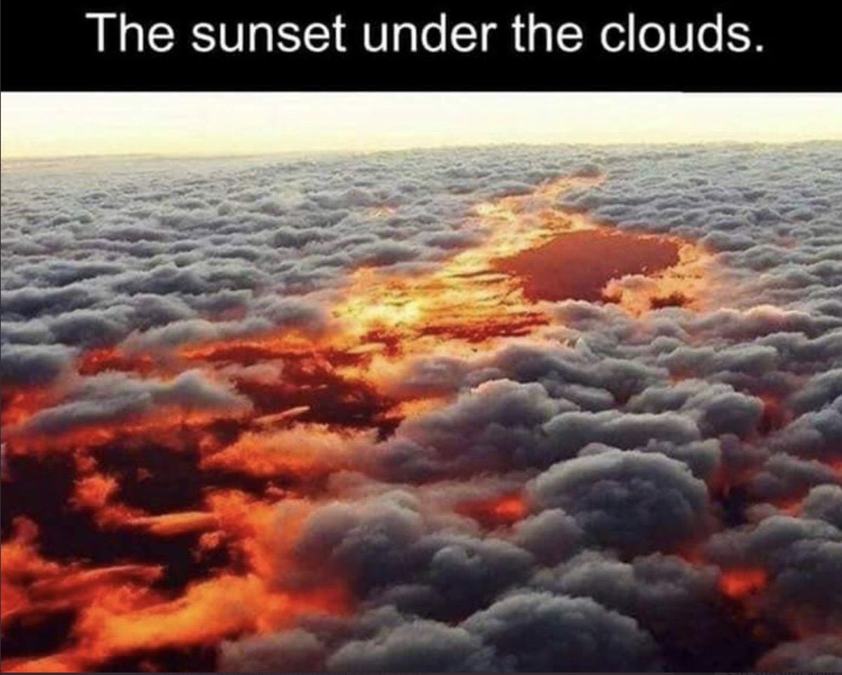 Bruce Adams on Twitter: 