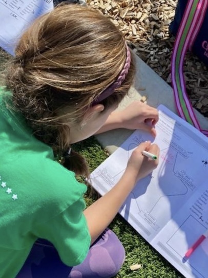 Happy first day of Spring! Stars are shining bright!
¡Feliz primer dia de primavera! ¡Las estrellas brillan intensamente! #spring #mystar #shiningbright