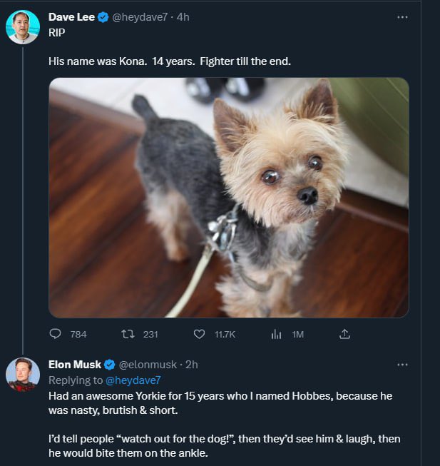FuHok3's tweet photo. @ey_pablo $KONA ARMY 🪖 @Kona_Inu 

For those who faded. Its not too late to ape again. This will follow $HOBBES. Why? Because its cult. Without $KONA, $HOBBES wouldn’t exist. Think twice and buy a dip.

$KONA #KONAINU #KONA #KONAARMY https://t.co/TEW7lDlA9Z