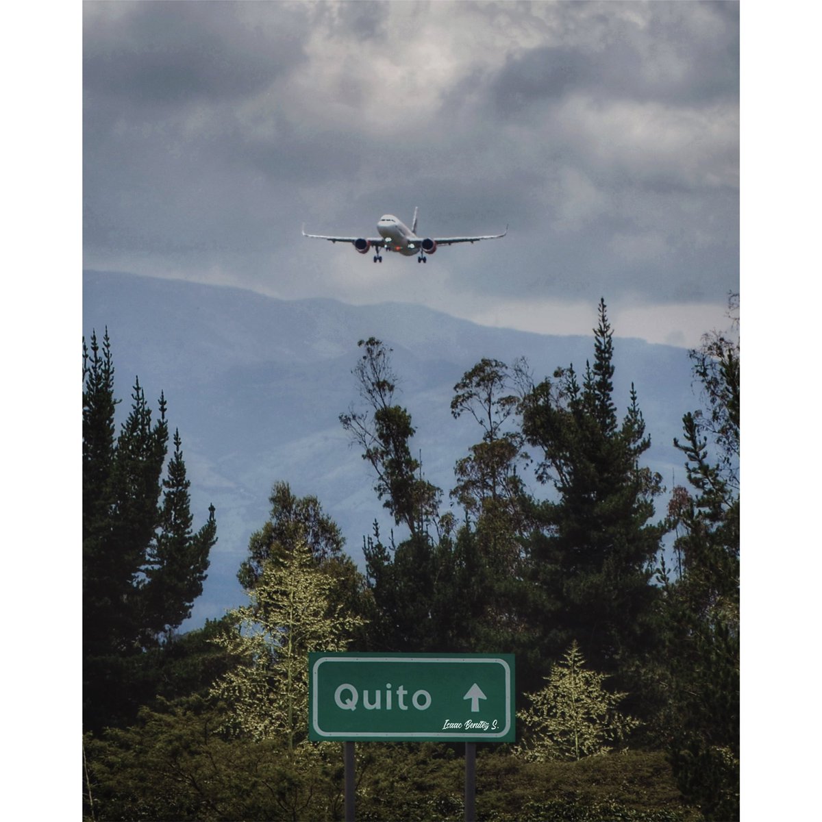 BenitezIsaac's tweet photo. Recién llegado el Airbus A320-251 NEO de Avianca con su “Aerogal Retro Livery” 📸✈️🇪🇨

@Avianca @AeropuertoUIO @Airbus https://t.co/oXGrV4yKVq