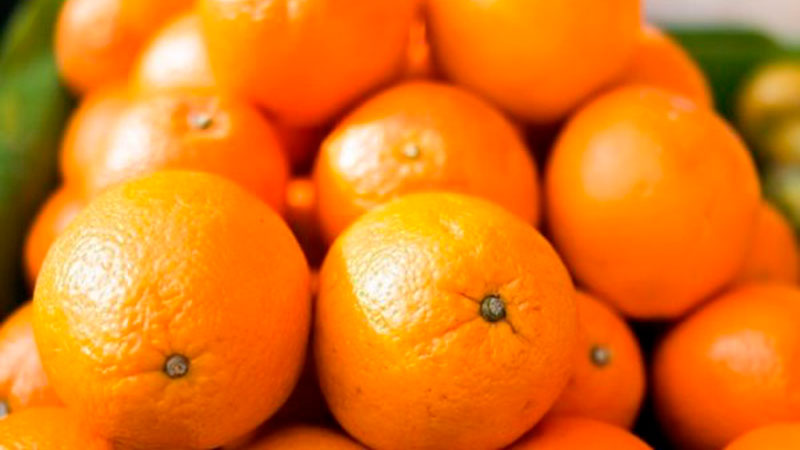 federcitrus's tweet photo. 📢La Cámara de Exportadores de #Cítricos valoró la gira por #EstadosUnidos 🍊🍋 
Nota completa 👉https://t.co/5VE8lmZgio 
by @eloncecom 

@CECNEA_arg @Acnoacitrus 
#federcitrus #cuidemosnuestroscitricos #citricultura #citrus #exports #exportaciones https://t.co/IcK0KsymJT