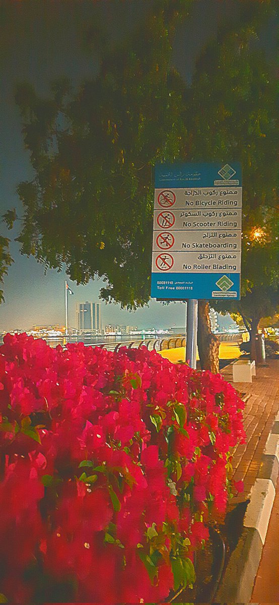 don_nolv's tweet photo. ❤️❤️❤️❤️❤️❤️❤️❤️❤️🇦🇪 https://t.co/F006YPGNvX