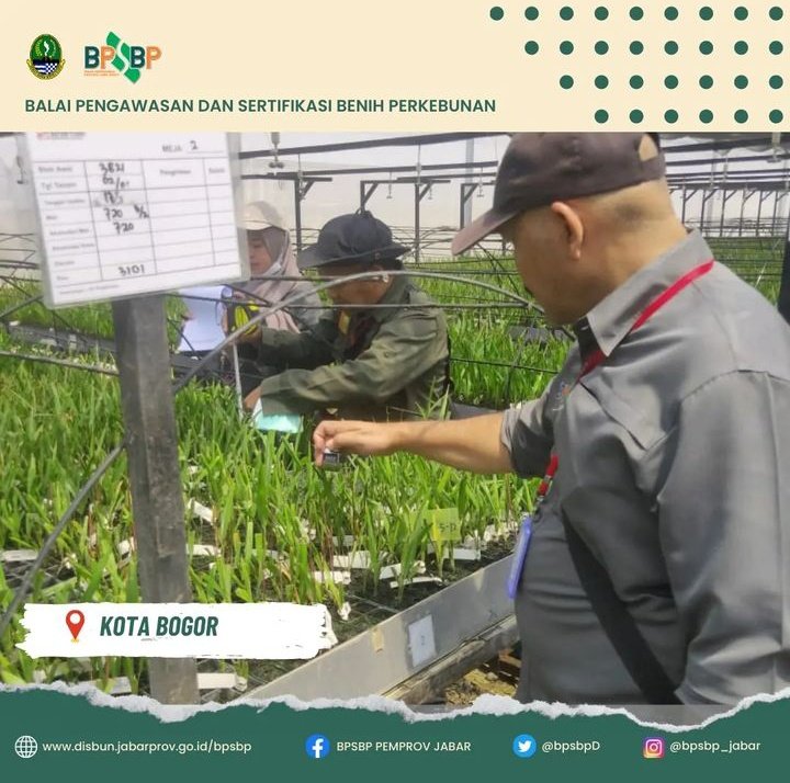BpsbpD's tweet photo. Selamat Pagi #wargibun π±π
Di kegiatan hari ini, Tim PBT melakukan Sertifikasi Benih Kelapa Sawit Dalam bentuk ramet pasca aklimatisasi nih #wargibun π€
Kegiatan ini dilaksanakan di Kota Bogor pada Jumat tanggal 17 Maret 2023.
#bpsbp #bpsbpjabar #disbun #disunjabar #kelapasawit https://t.co/dkRoE7kz2J