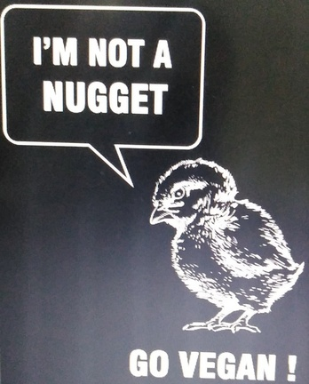 veganfuture's tweet photo. https://t.co/f8tXe3reJl