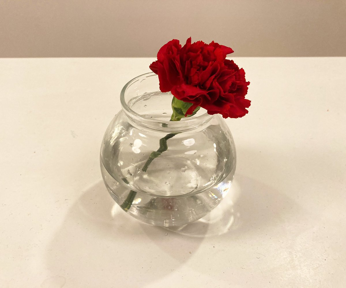 Corey Ryan Earle tweet media