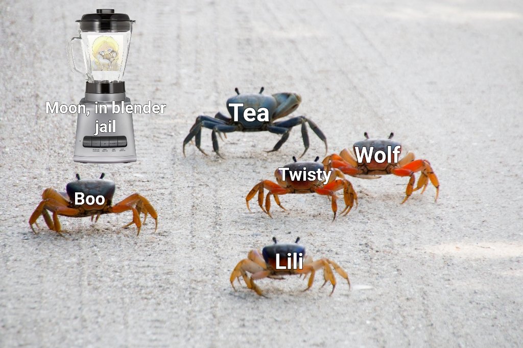 Crab_Rave_'s tweet photo. After 3 days of tryouts a new crab has joined the team 💜 🦀
@liligravybread https://t.co/ol6pCedpQU