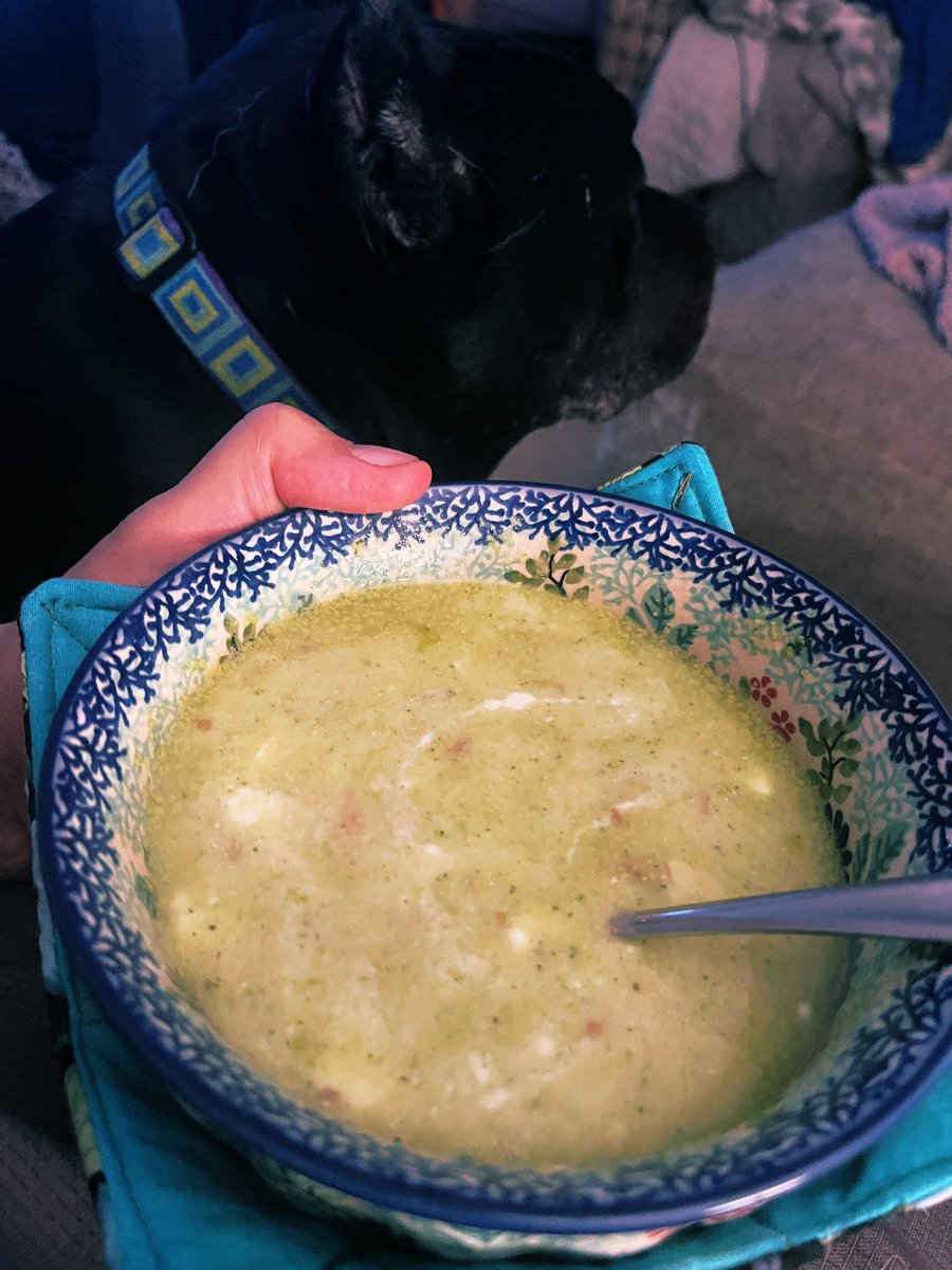 2thewilberforce's tweet photo. Creme of Broccoli soup. With crispy prosciutto, Greek yogurt and sunflower seeds. Pitbull approved. 

#ManCanCook https://t.co/3U8SNxNHpz