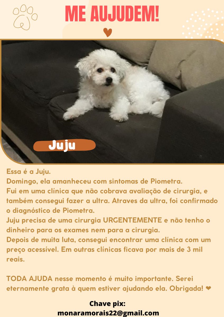 keibosta's tweet photo. Boa noite moots, coloco isso na tl de vcs para pedir que, por favor, quem puder ajudar como puder, por favor ajudem. A dona está desesperada, quem tem pet sabe como é esse sofrimento quando isso acontece. 

Por favor, quem puder ajudar, ajudem como puder. ♥️🙏🏽 https://t.co/0q6fBXwgGE