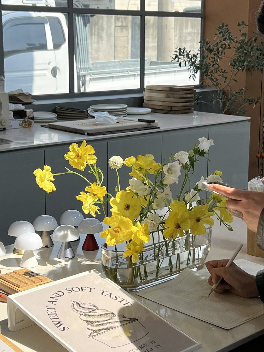 tyul_lim's tweet photo. 이번 주말은 봄이 온게 실감났었는데.. 🌷🌼 https://t.co/4p94J8Zj6U