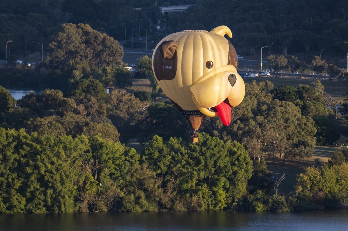 Festival over, back to prepping for #Canberra #autumn - 
@Australia
 #seeaustralia #comeandsaygday #balloonspectacular #hotairballoon #festival