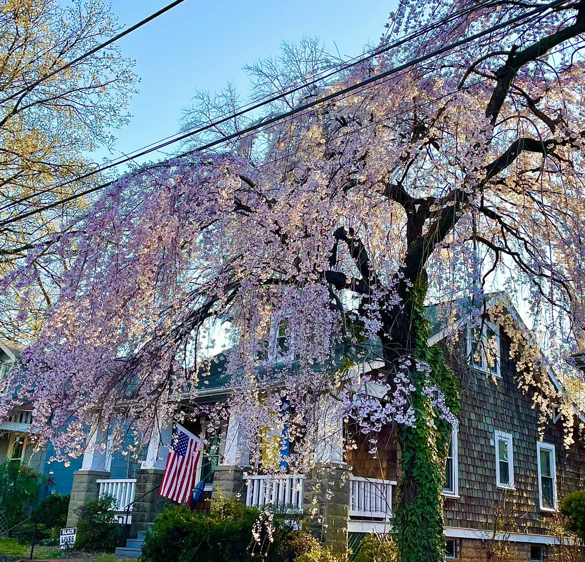 The Hyattsville Wire tweet media