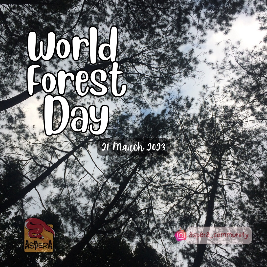 Mari jaga hutan kita agar kelestarian ekosistem di dalamnya tetap terjaga untuk mencegah kelangkaan dan kepunahan keanekaragaman hayati.⁣

#WeCareAboutReptile
#AsperaCommunity
#ReptileEducation
#Herpetofauna
#Herpetologi
#Kehati
#Ekosistem
#Konservasi