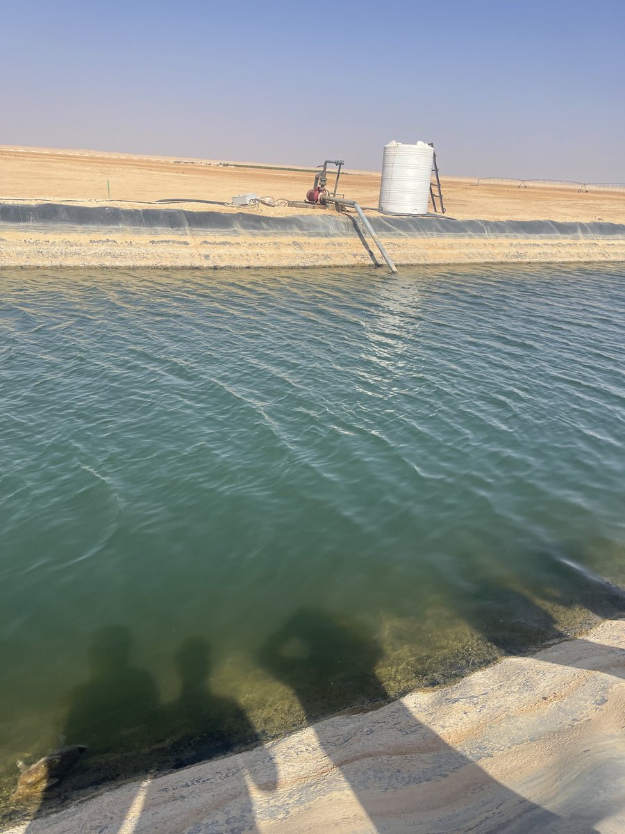 _80ge's tweet photo. @IraqiWazir لست محل الدفاع عن اي جهه كنت متواجد في مكان العمل في الصحراء والفرق التي تعمل هيه هيئه الحشد الشعبي(عراقين) ما ادري يا لولاء كان هناك اجتماع للمستثمرين الذي لديهم القدراه على استصلاح الارض وحفر الابار ويدخل شريك في المشروع وللتأكيد الصوره حقيقيه من ارض المشروع وراح تكشف الحقيقه https://t.co/iklgdizBga