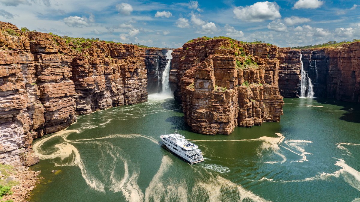 True North tweet media