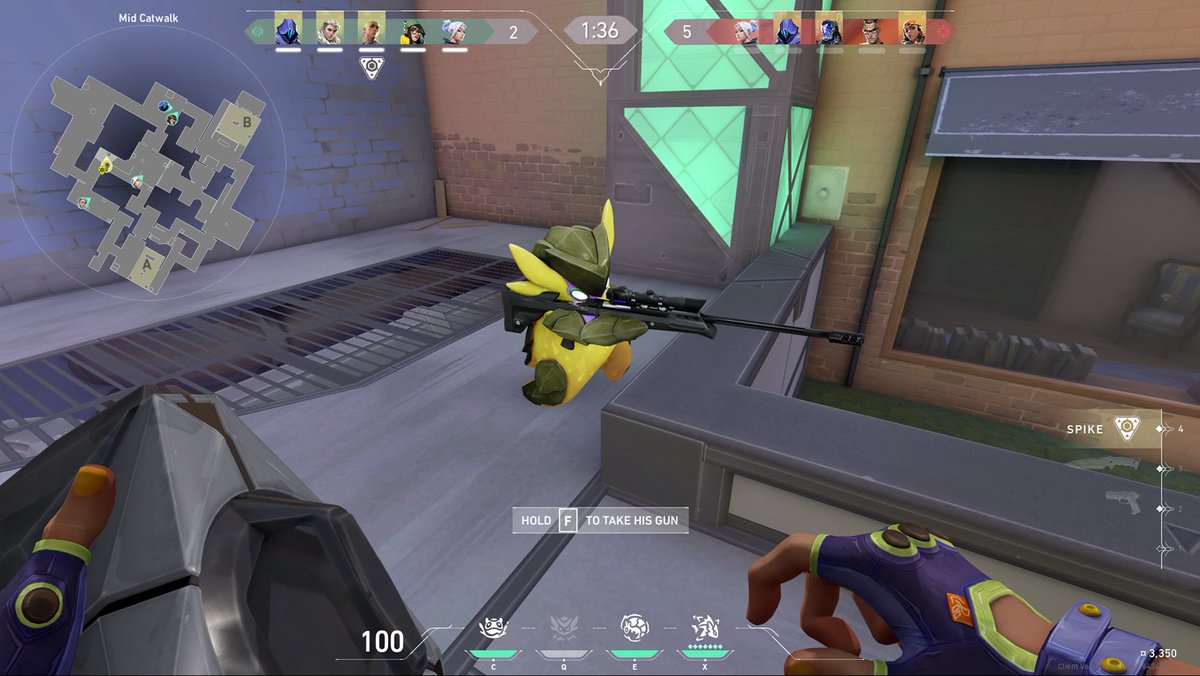 Carnalito ya no quiere plantar la spike