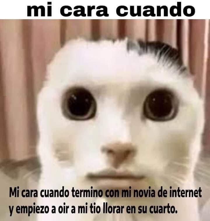 Amorsinsabor (@amorsinsabor_) on Twitter photo 