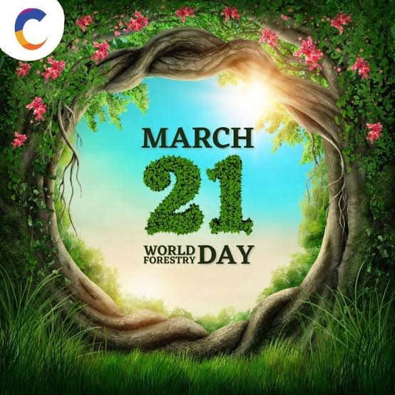 sgilive's tweet photo. Let's all observe #ForestDay and protect Forests.

The theme of 2023 is: "Healthy Forests for Healthy People."

#WorldForestDay 
#WorldForestryDay https://t.co/aygblFySVw