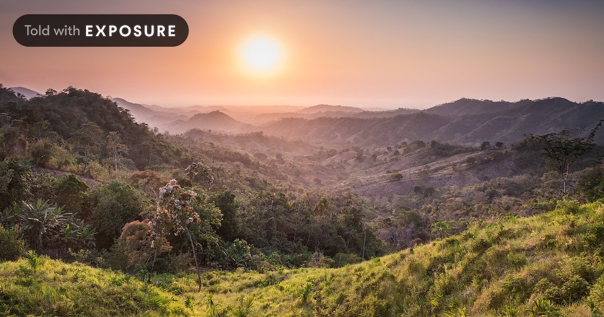 21 March is #IntlForestDay!

From Guatemala to Cuba to Mexico to Peru, by safeguarding and restoring these vital ecosystems, we work:

🌲 For people
🌳 For our climate
🌴 #ForNature
🌱 For a better future

ow.ly/cXjh50NbbpJ 

 #BetterWithForests🌲#InternationalDayofForests
