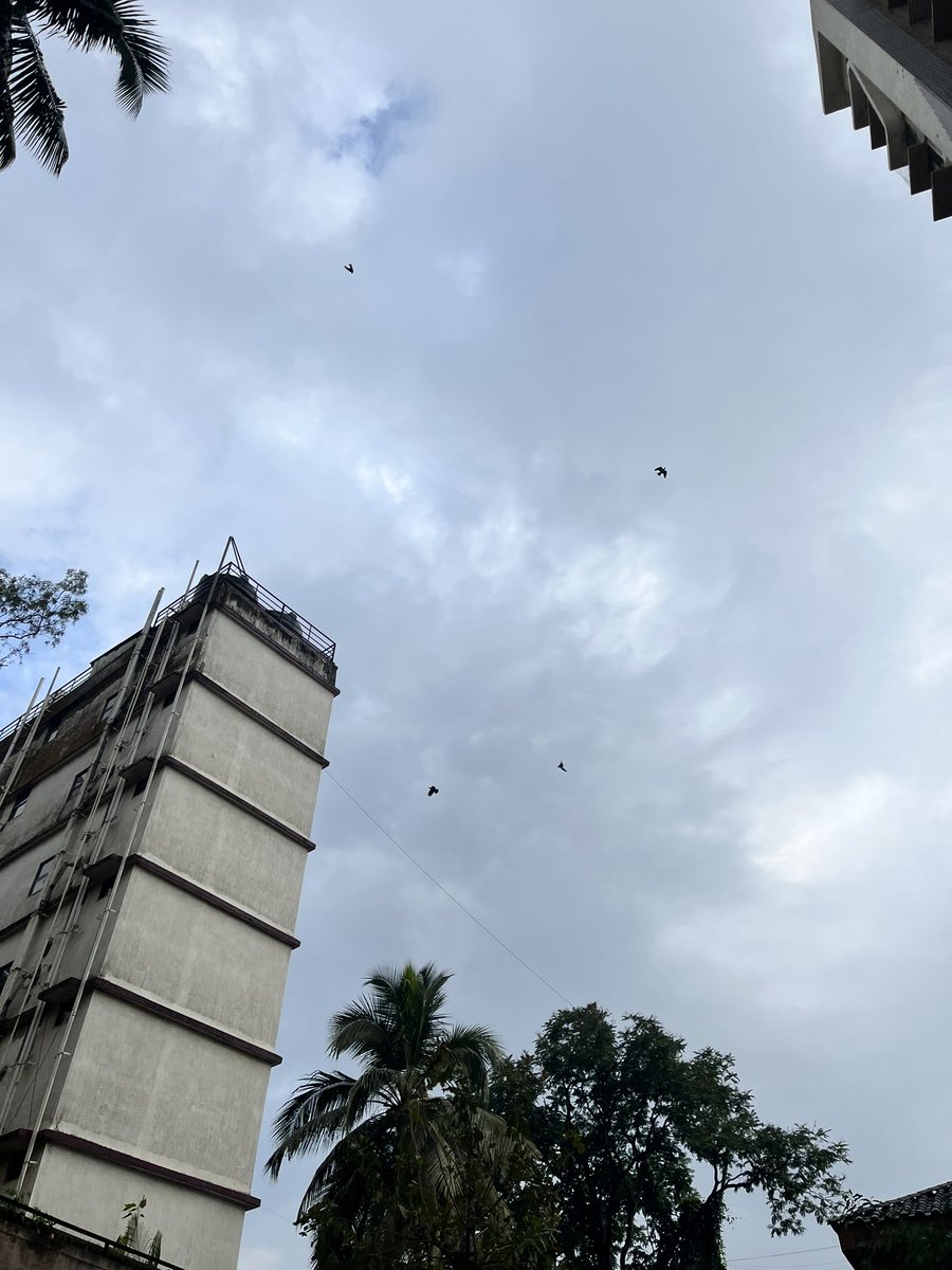 Curlyarsh's tweet photo. Bin Mausam Barsaat is an official ticket for being late.

How could you not appreciate the serenity that blooms.🌈 https://t.co/OrHSJVscxA