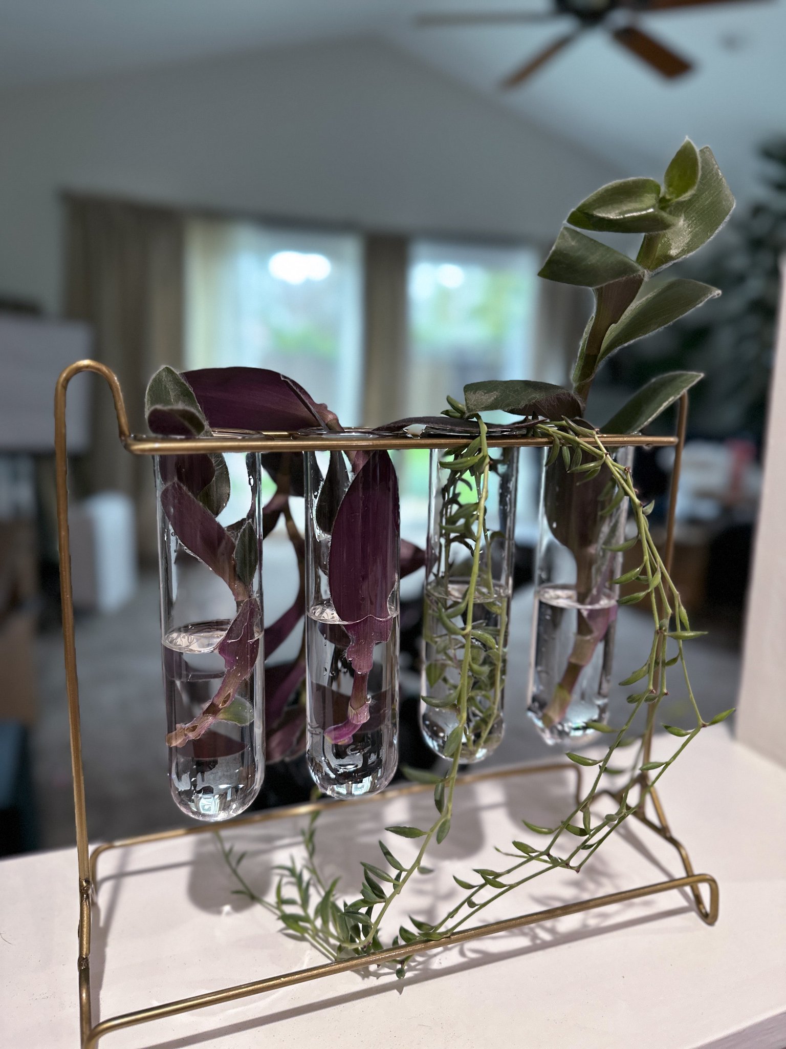 TW Pornstars - 2 pic. 🌈 Mary Moody Free OF. Twitter. Best part of