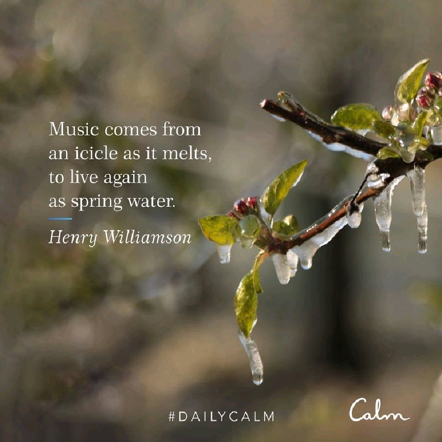 CaymanYoga's tweet photo. Music comes from an icicle as it melts, to live again as spring water. Henry Williamson💧💦💧 https://t.co/W26ZU7qe9F