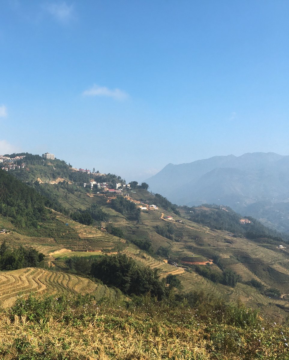 Free Expat Dream ⛩️ tweet media