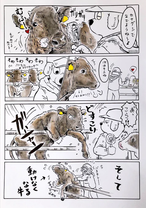 今日も一日…🐃

市場が近いので怪我とかしたら困るんですが… 