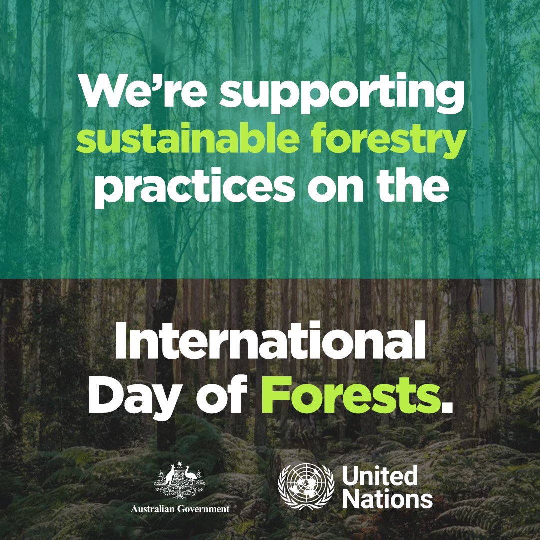 We are committed to a sustainable forestry sector &amp; the highly skilled jobs it supports.

That’s why we’re delivering a record $300m to the forestry sector, backing the expansion of the plantation estate, modernising our timber manufacturing &amp; building forestry workforce skills.