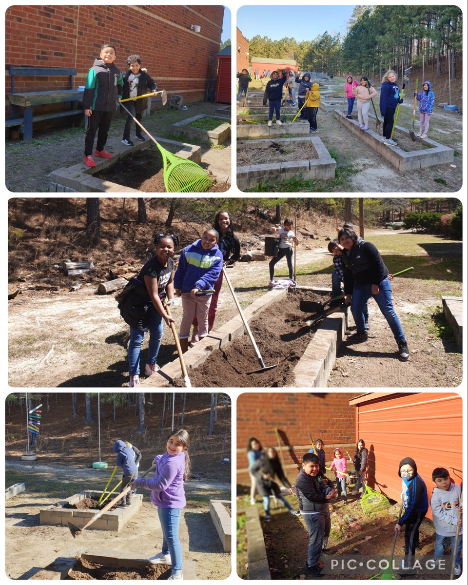 ChicopeeWoods's tweet image. Our third graders are getting our garden beds ready for spring planting! @Hall_Schools 🥬💐🪷🌻#LifeIsGoodInTheWoods #SpringPlanting