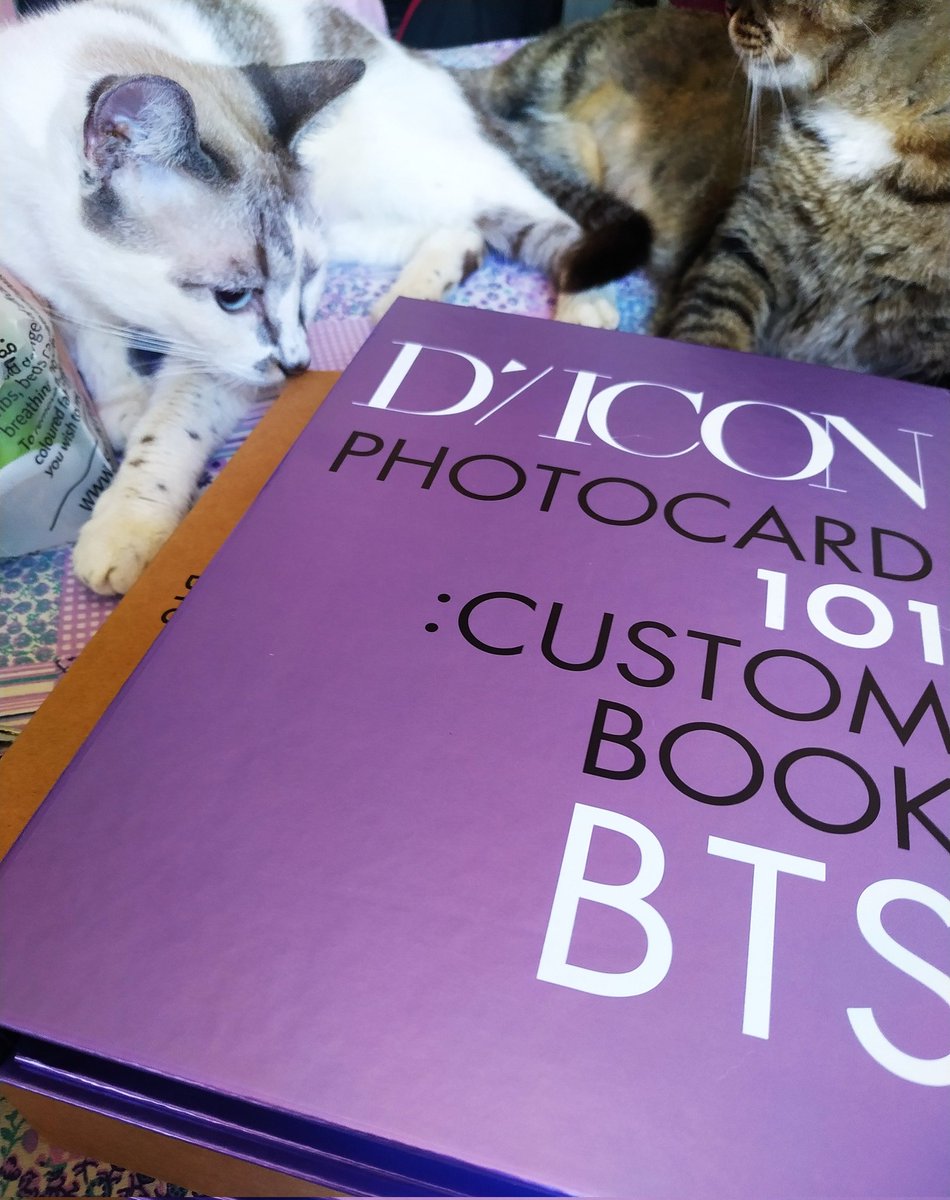 Feedback positivo pra <a href="/sweetiejk_/">ma⁷ ♱ VAI VER O BTS</a> q me vendeu esse binder dicon em ceg, chegou tudo perfeito, mto protegido e com mimos 😍 como podem ver na foto, teve o selo da Sakura de aprovação 😻 a Mari me vendeu tbm um set do Seokjin só n tirei foto mas veio tudo certinho tbm! obrigada ♥️
