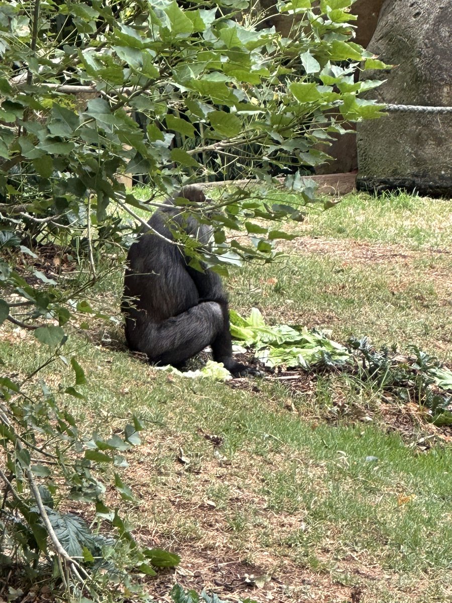 Nice day out at <a href="/ZoosVictoria/">Zoos Victoria</a>