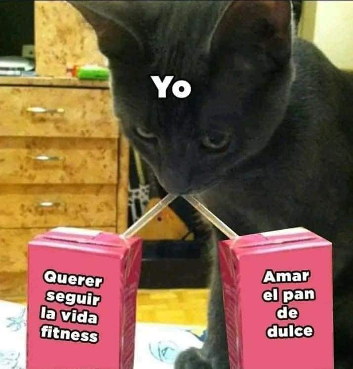 FernandaCruzCs's tweet photo. Es que el café sin pan no sabe igual 😅😅💔 
#PanDeDulce
#Fit
#JesusEnUNIFE36 https://t.co/Eb2HV5YQPh