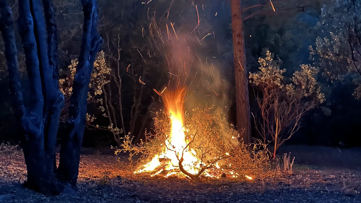 YosemiteSteve's tweet image. My evening workout #burnpiles #goodfire #firegood