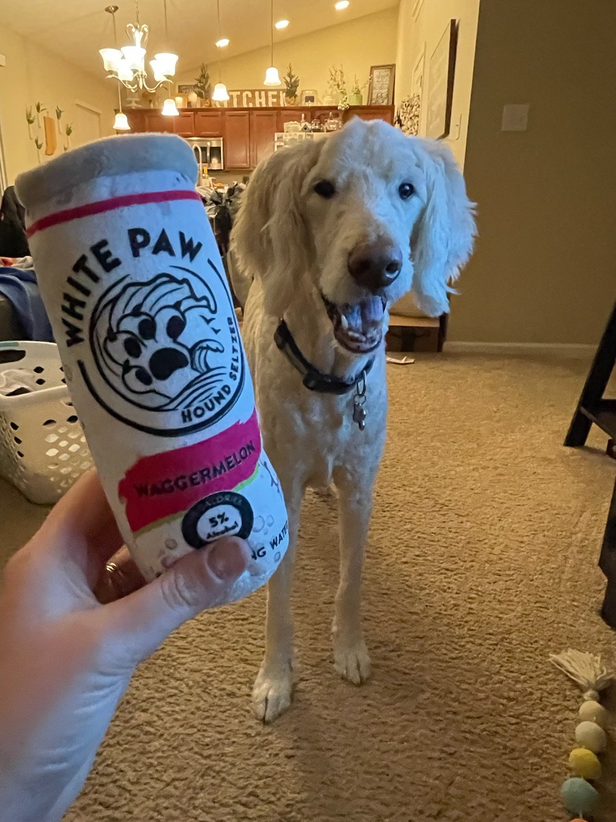 Coach_VargaHHS's tweet photo. Big happy 11th birthday to the best fur baby a family can ask for. Enjoy our "White Paws" toy P! https://t.co/QvdBAxEBp6