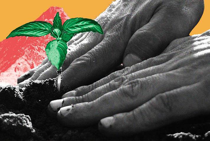 DISTRICT INFORMATION OFFICE, PUNE tweet media