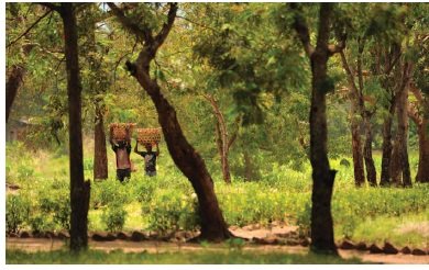 DISTRICT INFORMATION OFFICE, PUNE tweet media