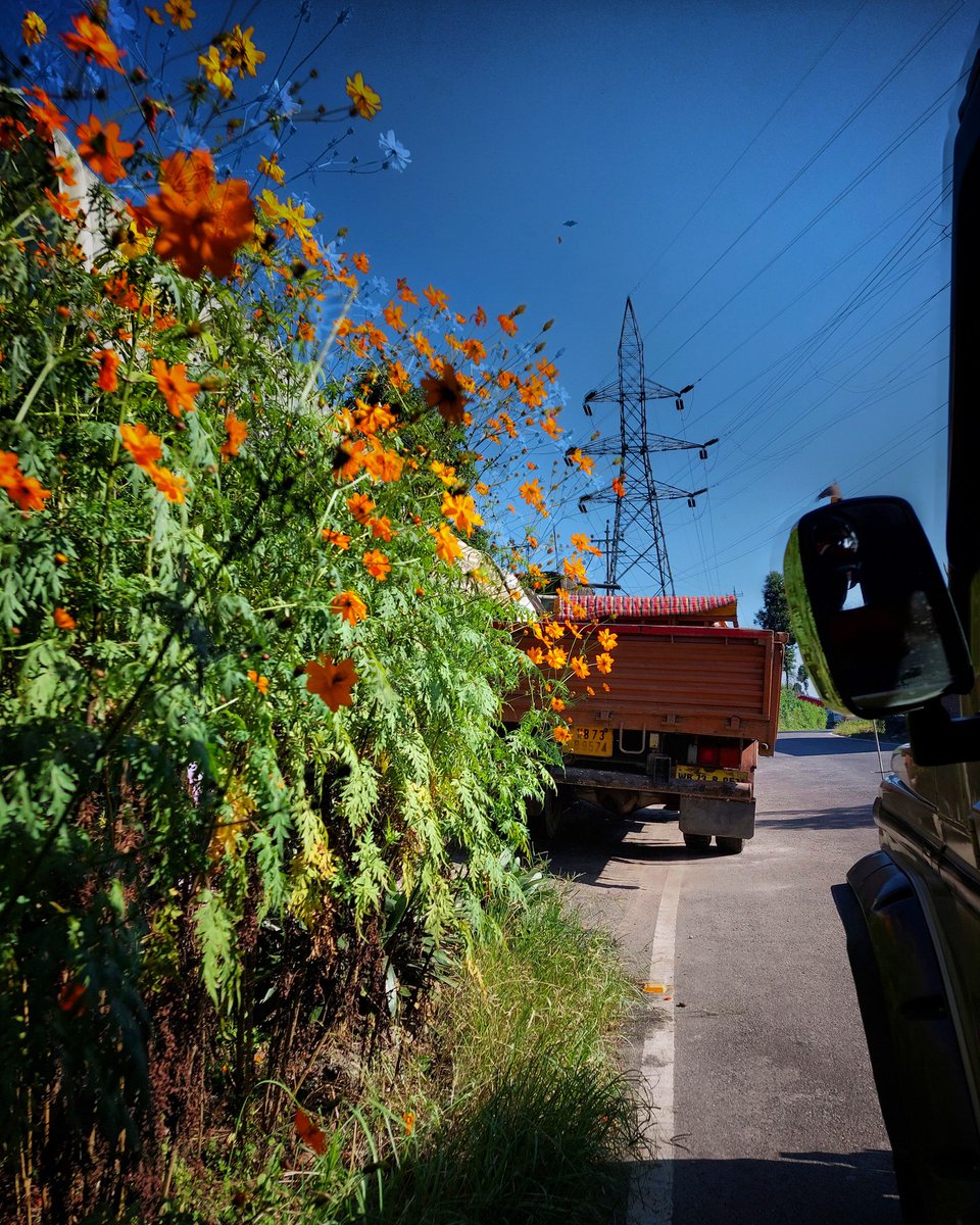 imshouvik02's tweet image. BE HONEST, BE NICE, BE A FLOWER🌼
NOT A WEED.👾
@samsungindia @SamsungMobile
#a52s5g #samsungphotography