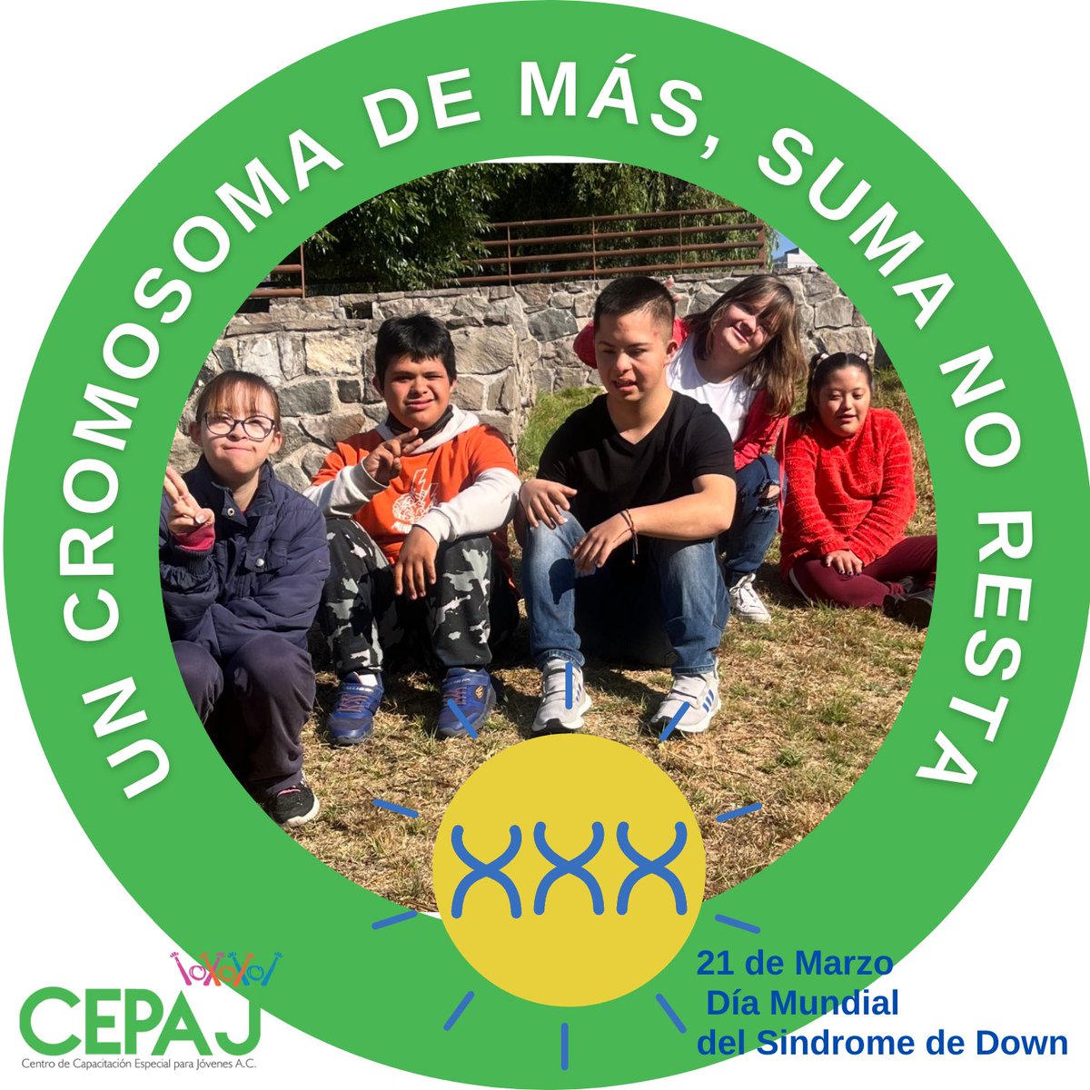 Cepaj Puebla tweet media